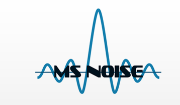 MS Noise